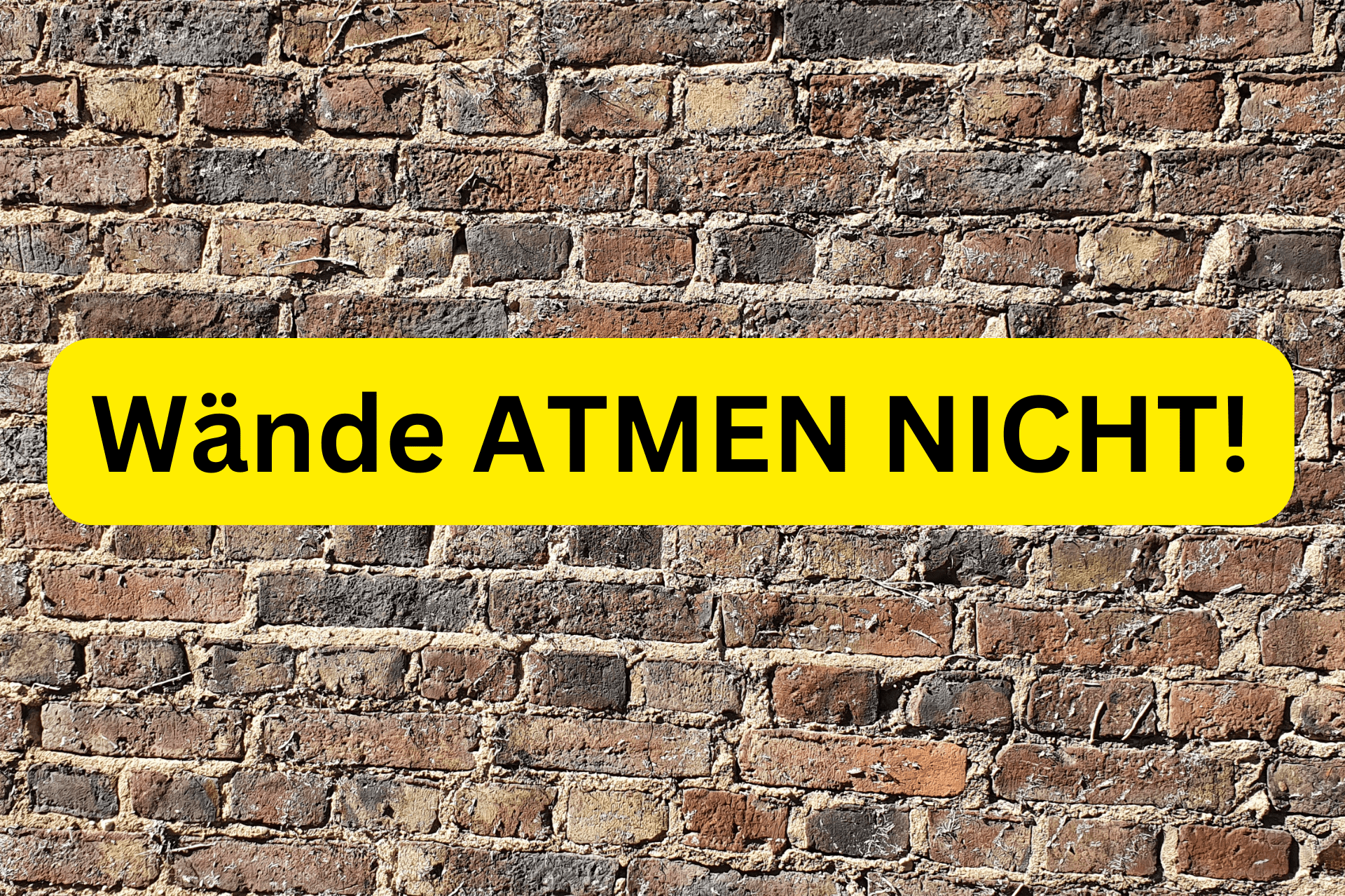 Wände ATMEN NICHT!