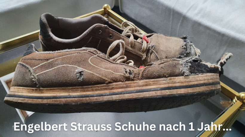 Schuhe von Engelbert Strauss nach 1 Jahr