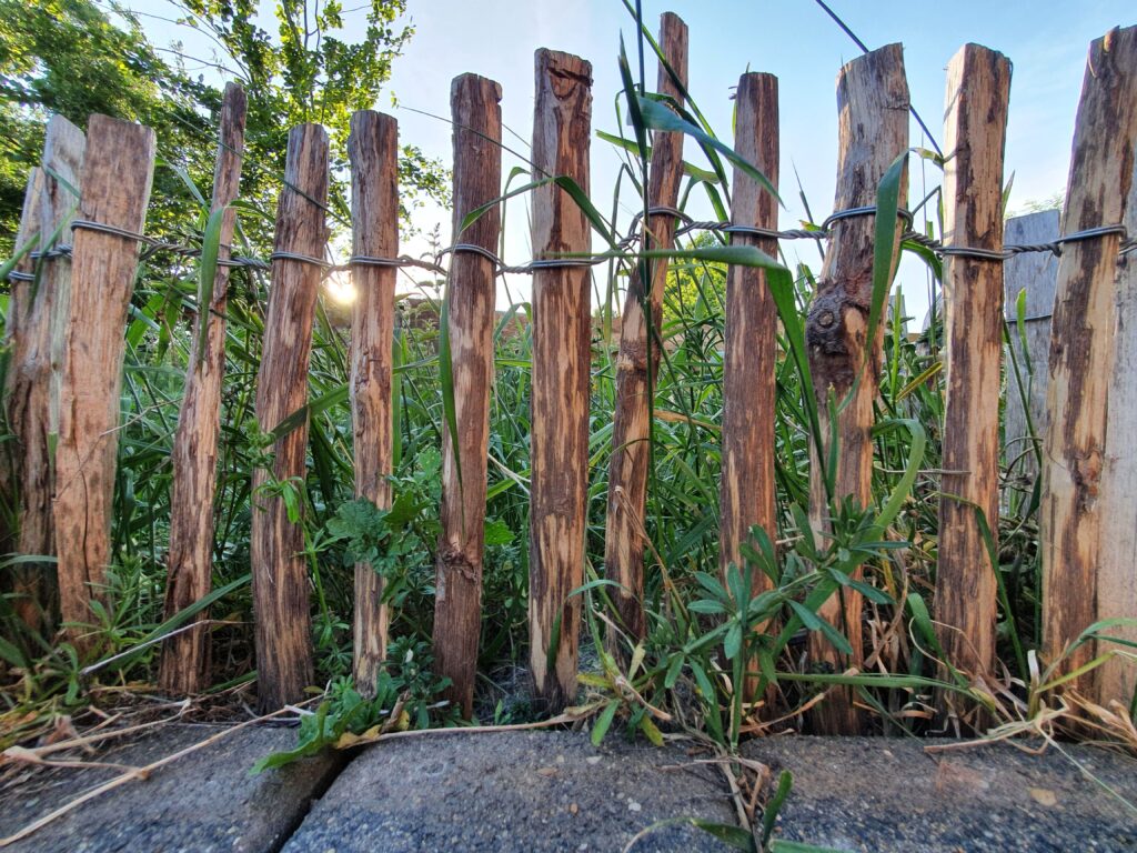 50 cm Staketenzaun im Garten als Abgrenzung Nach der Fertigstellung unseres Hauses mit einer schönen Fassade steht nun die Gestaltung des Außenbereichs an. Mit der Hilfe des erfahrenen Teams von Gartenbau Geretsried planen wir sowohl den hinteren Garten als auch den Vorgarten. Unser Ziel ist es, eine einzigartige Mischung aus naturnahem Lebensraum und luxuriöser Funktionalität zu schaffen.