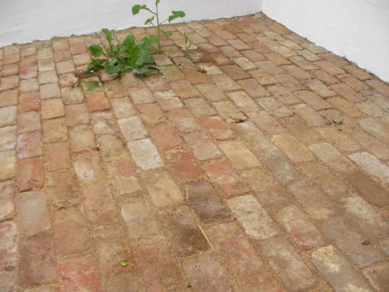 Bild Foto Schoene Alte Pflastersteine Hier Auf Einem Bauernholf Naehe Zuelpich Bei Koeln Nach der Fertigstellung unseres Hauses mit einer schönen Fassade steht nun die Gestaltung des Außenbereichs an. Mit der Hilfe des erfahrenen Teams von Gartenbau Geretsried planen wir sowohl den hinteren Garten als auch den Vorgarten. Unser Ziel ist es, eine einzigartige Mischung aus naturnahem Lebensraum und luxuriöser Funktionalität zu schaffen.